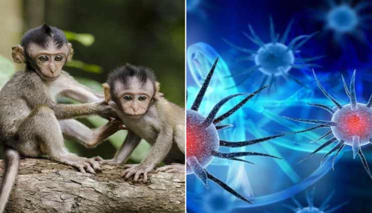 Health tips,health tips in hindi,health research,corona research,coronavirus,corona vaccine,oxford university