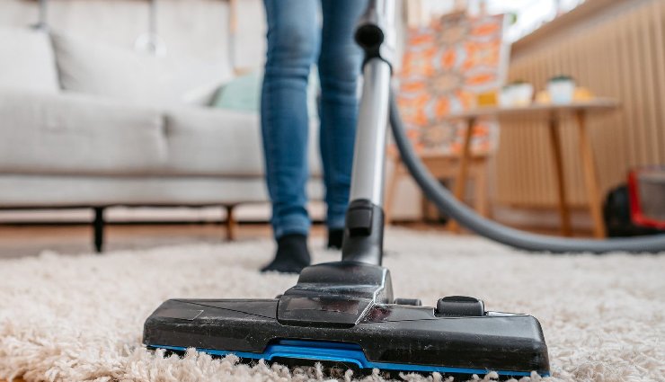 home remedies for blanket worm,get rid of blanket worm,bedbug removal,moth larvae in blankets,essential oils for bedbugs,diatomaceous earth pests,baking soda for pests,vacuuming bedbugs,hot water bedbug treatment,steam cleaning pests,natural bedbug repellents,neem oil for bedbugs,pest control home remedies,eliminate bedbugs naturally,bedbug prevention tips