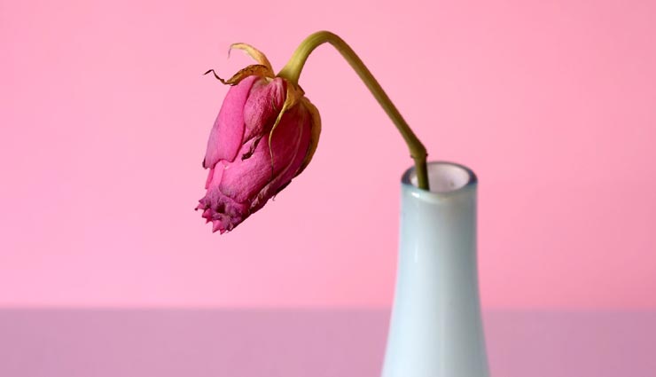 Health tips,health tips in hindi,women health tips,vaginal dryness,winter health tips