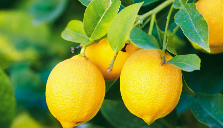 greek yogurt,Lemon,cranberry juice,garlic,kale,edamame,flaxseeds,avocado,vaginal health,food for vaginal health,Health tips,fitness tips