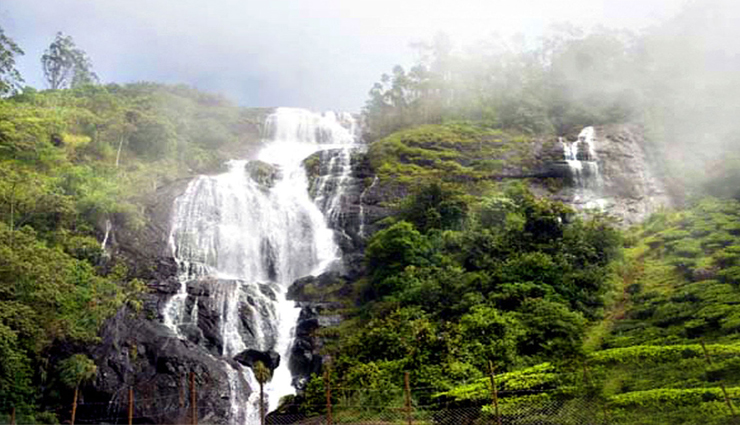 munnar waterfalls tour,best waterfalls in munnar,munnar breathtaking waterfalls,must-see waterfalls in munnar,munnar waterfalls exploration,top munnar waterfall destinations,munnar spectacular waterfalls,discovering munnar waterfall wonders