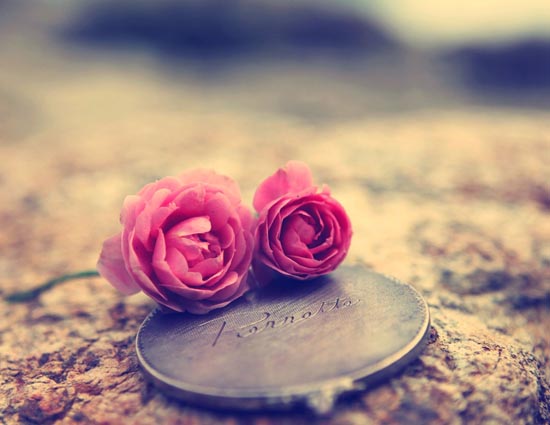 इन दो राशियों के लिए इस साल वैलेंटाइन रहेगा कुछ खास