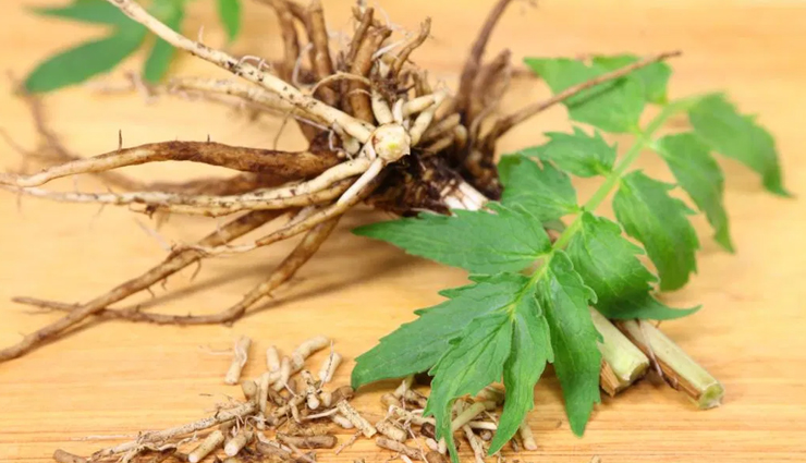 dry socket,alveolar osteitis,tooth extraction,home remedies,pain relief,natural remedies,warm salt water,clove oil,cold compress
    smoking cessation
    tea tree oil,garlic,honey,turmeric,aloe vera,chamomile tea,black tea bags,otc painkillers,soft food diet,Health,Health tips