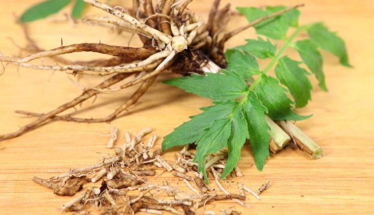 insomnia remedies,insomnia and work performance,causes of insomnia,herbal teas for sleep,natural sleep aids,stress and insomnia,anxiety and sleep problems,best herbal teas for insomnia,natural remedies for insomnia,sleep disorders,how to sleep better naturally