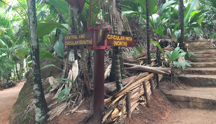 africa,unesco,world heritage sites,heritage sites in africa,rock-hewn churches of lalibela,ethiopia,vallee de mai nature reserve,seychelles,victoria falls – zambia-zimbabwe,serengeti national park,tanzania,great lakes kenya,robben island south africa,travel,holidays,travel guide,travel tips