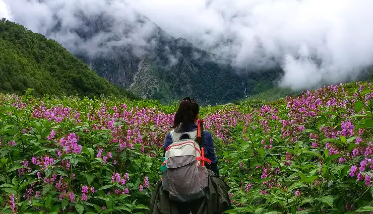 5 Monsoon Places To Explore in North India