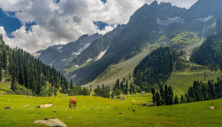 6 Valleys To Visit in Kashmir