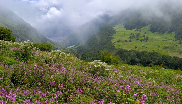 romantic places,romantic places in india,monsoon places in india