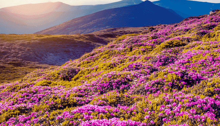 wonders to explore in india,unbelievable wonders to explore in india,india tourism,tourist places in india