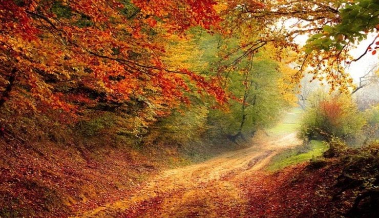 tourist place,indian tourist place,valley of flowers national park,uttarakhand place