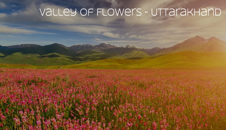 beautiful valleys to visit in india,india valleys,india beautiful valleys,travel,holidays