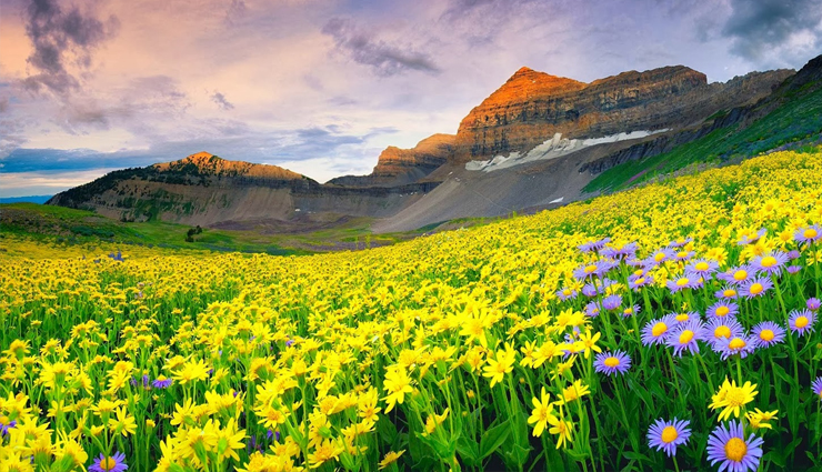 disappear,places to visit  in india before they disappear,travel,travel guide,travel tips