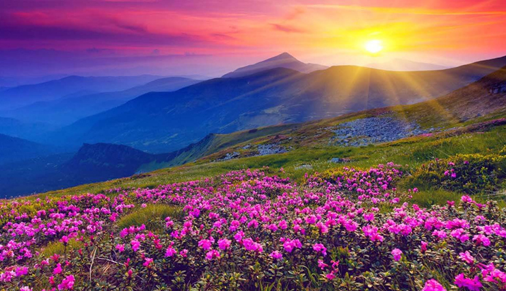 places you can visit in india during spring,holidays travel,tourism