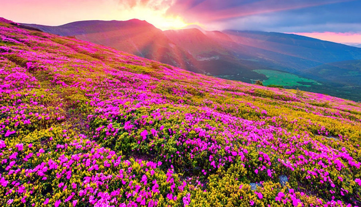 unbelievable wonders india,explore india wonders,must-visit wonders in india,incredible sights of india,india breathtaking wonders,unmissable attractions in india,discover india marvels,famous landmarks in india,india natural wonders,best places to visit in india