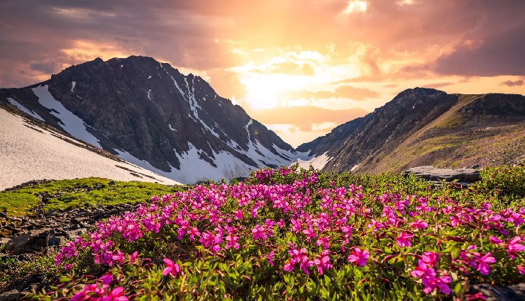 trekking in himalayas,himalayas trekking destinations,kedarkantha trek,deoriatal chandrashila trek,sandakphu phalut trek,valley of flowers trek,tarsar marsar trek,hampta pass trek,gidara bugyal trek,annapurna base camp trek,khopra ridge trek,buran ghati trek,adventure trekking himalayas,best treks in himalayas,trekking routes himalayas