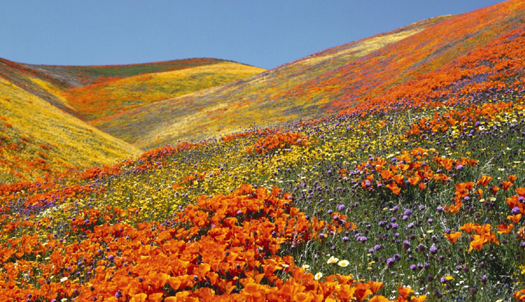 india,beauties in india,beauties to explore in india,india tourism,tourist places in india,travel,holidays