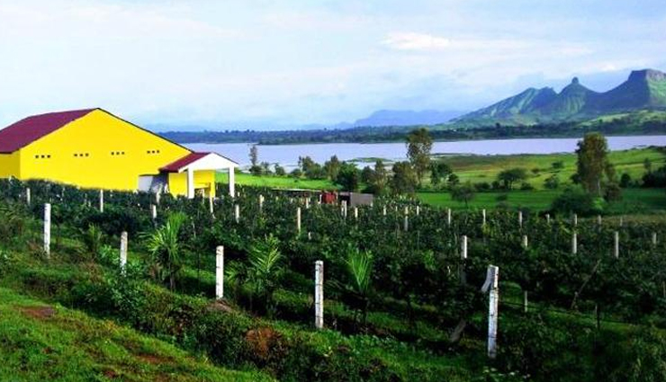 vineyards in india,wine tourism in india,indian wine destinations,wine tasting in india,best vineyards to visit in india,wine tours in india,wine experiences in india,indian wineries and vineyards,grape harvesting in india,wine culture in india,indian wine regions,wine trails in india,wine production in india,wine tourism experiences,wine festivals in india,wine appreciation in india,wine and food pairing in india,wine education in india,vineyard tours in india,indian wines and vineyards