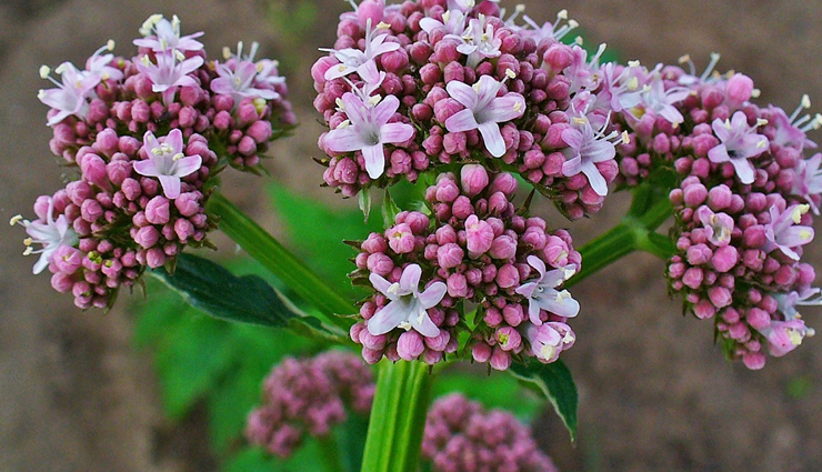 bipolar disorder,bipolar disorder treatment,bipolar disorder symptoms,bipolar disorder test,bipolar disorder definition,bipolar disorder treatment,bipolar disorder and alcohol,bipolar disorder assessment,bipolar disorder causes,bipolar disorder criteria,bipolar disorder case study,vitamin c bipolar disorder,hepatitis c bipolar disorder,bipolar disorder diagnosis,bipolar disorder depression,bipolar disorder disability,Health,Health tips