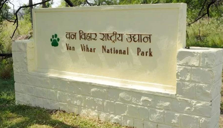 झीलों की नगरी हैं मध्यप्रदेश की राजधानी भोपाल, जरूर करें यहां की इन 10 जगहों का दीदार tourist destinations in bhopal,lakes in bhopal,tourist spots in bhopal,madhya pradesh,madhya pradesh tourism,tourist spots in madhya pradesh bhopal,travel guide,travel tips