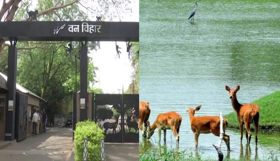 bhopal tourist attractions,best places to visit in bhopal,bhopal travel guide,bhopal sightseeing,bhopal historical places,upper lake bhopal,bhojpur temple bhopal,van vihar national park,museums in bhopal,lakshmi narayan temple bhopal,bhopal tourism,bhopal heritage sites