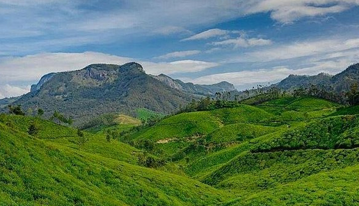 must-see places in idukki,idukki tourist attractions,explore idukkis top sights,idukki travel destinations,best places to visit in idukki,idukkis famous landmarks,idukki tourist hotspots,top cultural attractions in idukki,unmissable sights in idukki,idukkis natural wonders