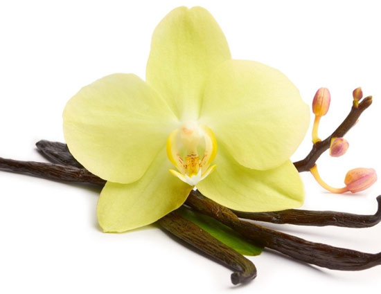 Vanilla Can be Your Skin and Hair Best Friend, Know How