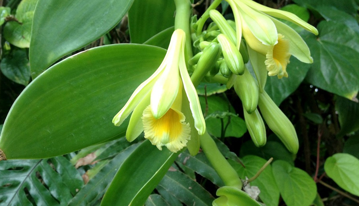 burns,treat burns,home remedies to treat burns,Health,Health tips