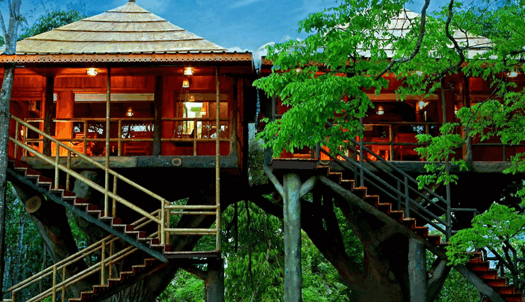 tree house resorts india,amazing tree house accommodations,relaxing vacation spots,unique travel experiences,top tree house getaways,luxury tree house stays,nature-inspired retreats,india vacation destinations,tranquil holiday escapes,tree house resorts for relaxation