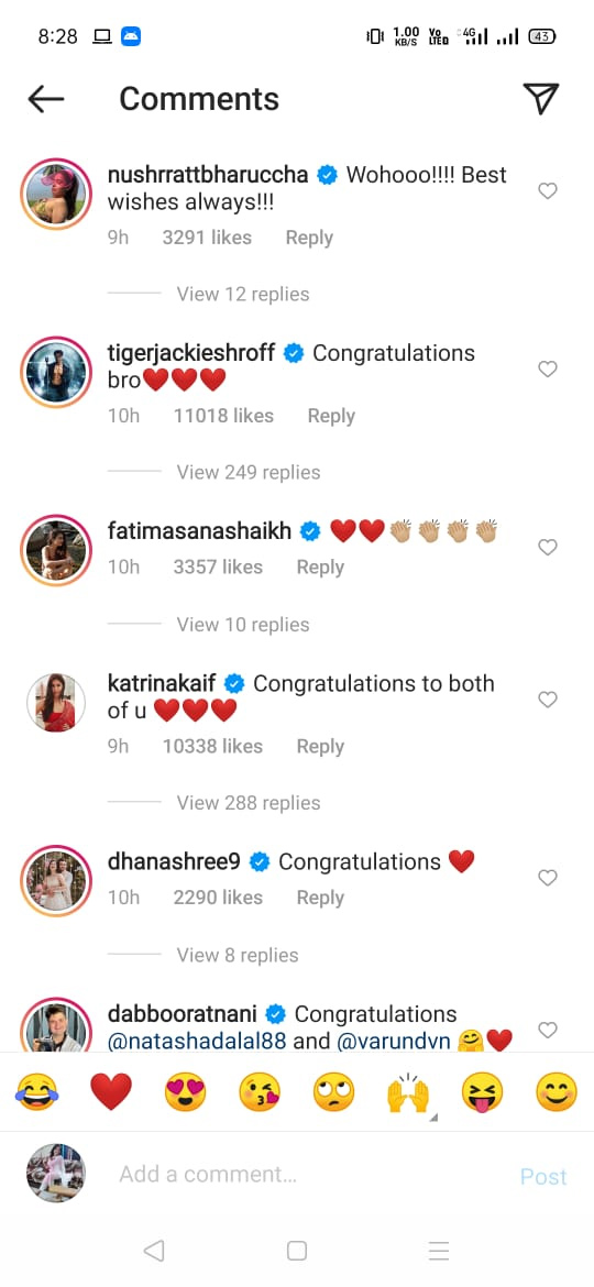 varun dhawan,natasha dalal,varun dhawan wedding,varun natasha wedding,entertinament,bollywood news