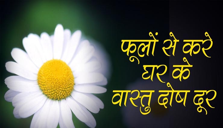फूलों से आएगी घर में खुशहाली, जानें इसके वास्तु नियम 