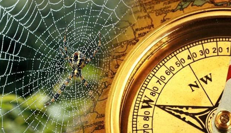 घर में बीमारियों का कारण बनते है ये वास्तुदोष, जानें और करें इनका निपटारा 