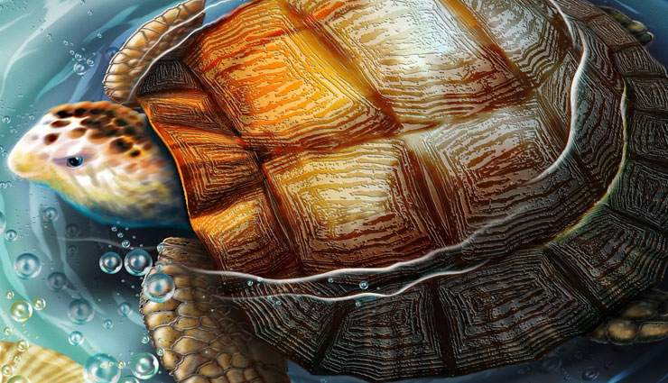 ways to get rid of vastu dosh,astrology tips,get rid of vastu dosh through animals