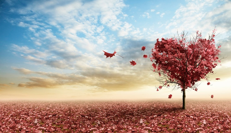 Valentines Special- 5 Vastu Tips To Attract Your Love