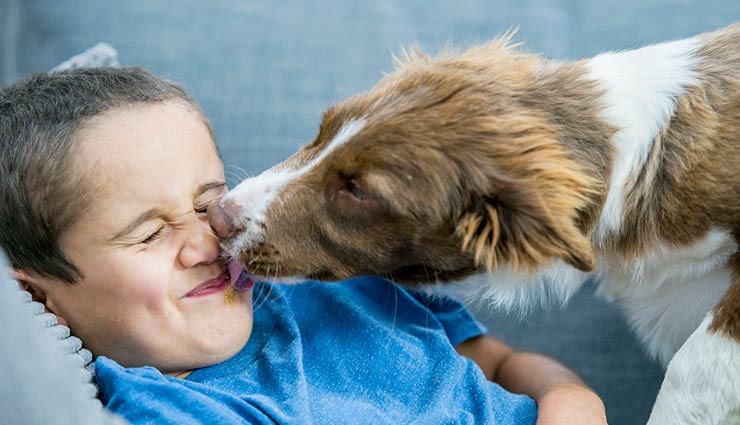 5 Vastu Tips To Follow For Pets