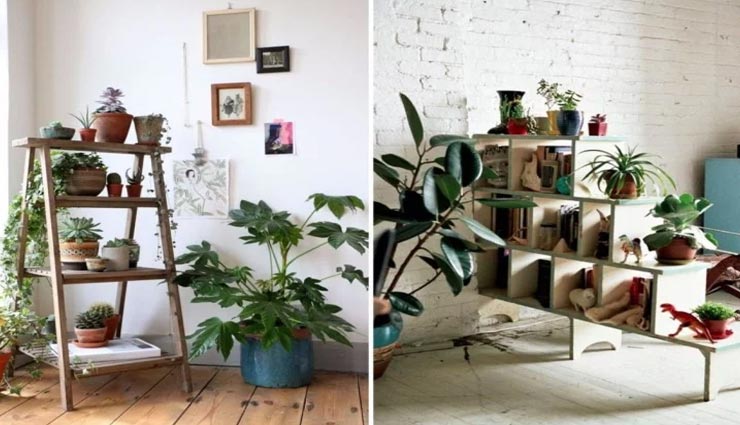 vastu tips in hindi,trees according to vastu,positivity in home