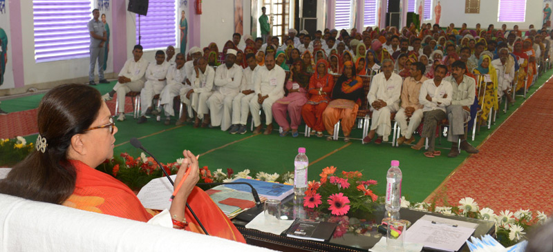 chief minister vasundhara raje,mustard,sriganganagar,rajasthan news