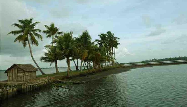 tourist places in kochi,best places to visit in kochi,top attractions in kochi,kochi travel guide,things to do in kochi,kochi sightseeing spots,famous places in kochi,must-visit in kochi,kochi tourism