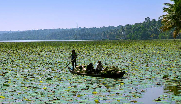 beautiful lakes kerala,vembanad lake,ashtamudi lake,pookode lake,sasthamkotta lake,paravur kayal,punnapra vayalar,akkulam lake,mananchira lake,vellayani lake,kuttanad lake,kerala lakes tourism,kerala backwaters,kerala nature spots,kerala water bodies,kerala travel guide