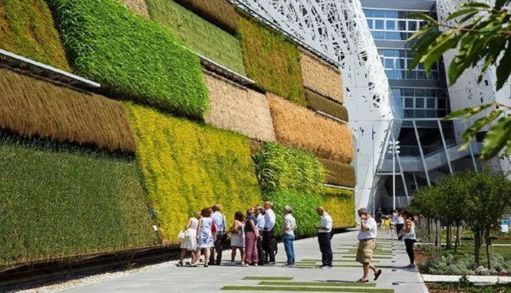 अनोखा देश जहां जमीन की जगह दीवारों पर की जाती हैं खेती, उगाई जाती हैं सब्जियां