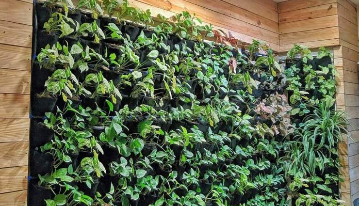 वर्टिकल गार्डन तकनीक से सजेगा आपका बगीचा, बढ़ेगी पौधों की गुणवत्ता 