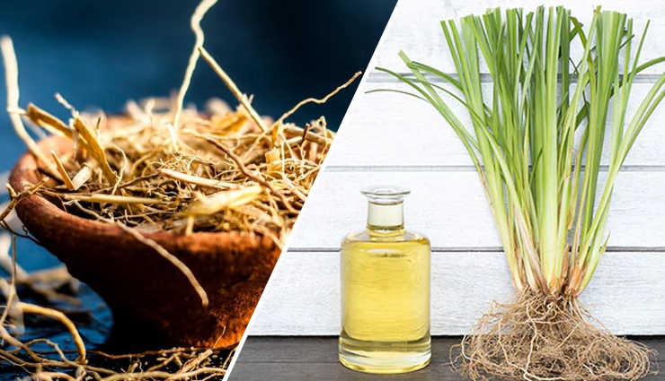 12 Amazing Benefits of Vetiver for Skin and Hair
