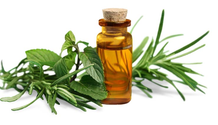 Health tips,health tips in hindi,heat stroke in summer,essential oils