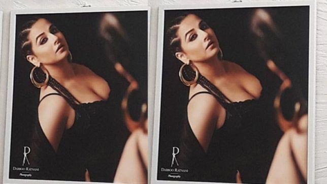 dabboo ratnani calendar 2019,sunnye leone,anushka sharma,Shah Rukh Khan,siddharth malhotra,janhvi kapoor,tiger shroff,Hrithik Roshan,ranbir kapoor