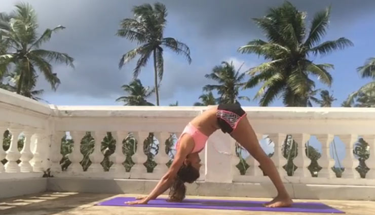 vidya malavade,vidya malavade instagram pics,vidya malavade viral pics,vidya malavade yoga video,bollywood