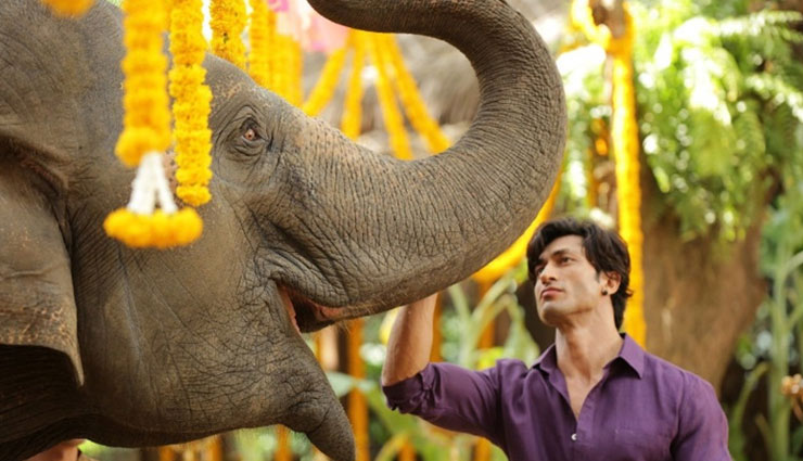 Vidyut Jammwal announces release date of his next flick ‘Junglee’