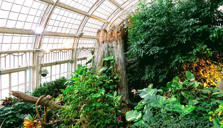 offbeat places in vienna,hidden gems of vienna austria,unique attractions in vienna,unconventional sights in vienna,lesser-known places in vienna austria,must-visit offbeat spots in vienna,exploring the unconventional side of vienna,undiscovered treasures in vienna austria,off the beaten path in vienna,discovering hidden wonders in vienna austria,vienna,austria,places to visit in vienna,museum of art fakes,donauturm,cemetery of the nameless,austrian national library,schmetterlinghaus,wotruba church,windows for peace,kugelmugel,globe museum