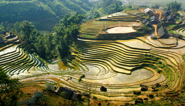 vietnam,places to visit in vietnam,phu quoc,ho chi minh,hue,ha long bay,da nang,sa pa