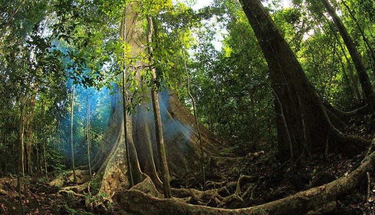 vietnam,places to visit in vietnam,tourist attraction in vietnam,hoi an,phong nha,ke bang national park,ha long bay,hue,ho chi minh city,mekong delta,my son sanctuary,cat tien national park,ha giang,phu quoc island