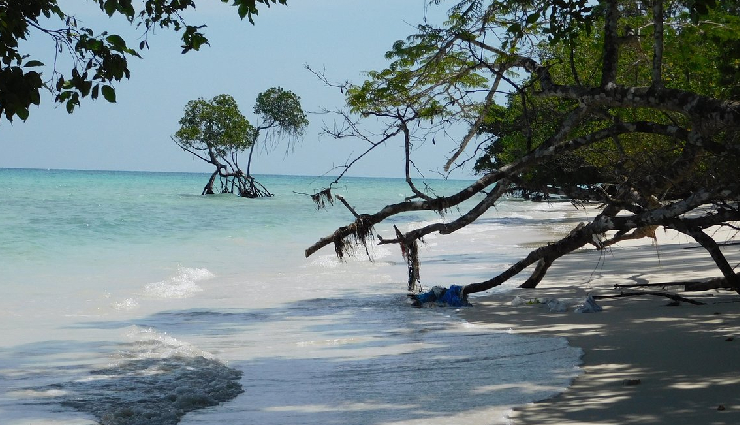 andaman beaches,best beaches in andaman,andaman island beaches,pristine beaches in andaman,andaman beach destinations,scenic beaches in andaman,andaman top beaches,andaman finest beaches,andaman beach getaways,beach hopping in andaman,andaman beach vacations,andaman beach tours,must-visit beaches in andaman,andaman beach experiences,andaman beach holidays