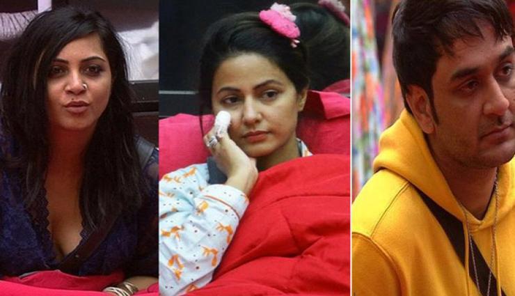Bigg Boss 11- Arshi Reveled a Big Thing About Vikas and Hina